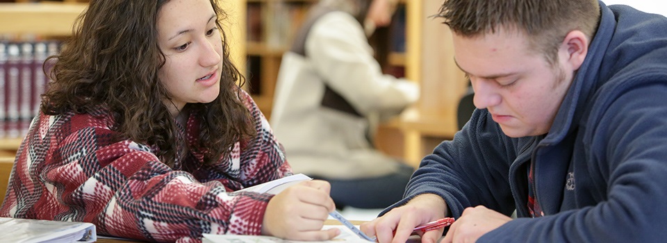 Students work together in Dublin campus library.